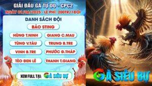 Đón xem giải đấu gà tự do CPC2 ngày 01-06-2025 cùng Gà Siêu Bự