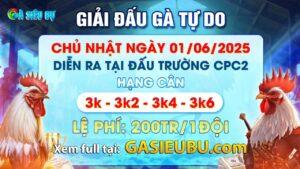 Giải đấu gà tự do 01-06-2025