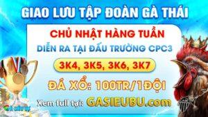 Giải giao lưu tập đoàn gà thái