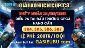 Giải vô địch cup C3 31-05-2025