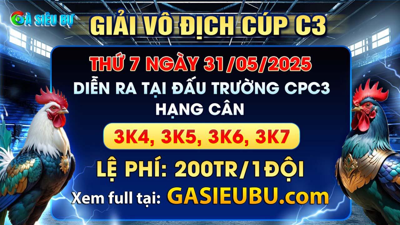 Giải vô địch cup C3 31-05-2025 Giải vô địch cup C3 31-05-2025