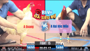Trận 15 CPC3 21/05/2025 – Anh Quang Gạt Chân Anh Hai Hóc Môn