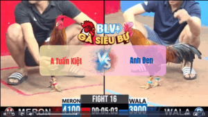 Trận 16 CPC3 21052025 - Anh Tuấn Kiệt Đối Đầu Anh ĐenTrận 16 CPC3 21/05/2025 - Anh Tuấn Kiệt Đối Đầu Anh Đen