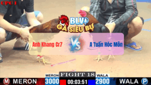 Trận 18 CPC1 22052025 – Anh Khang Cr7 Đối Đầu Anh Tuấn Hóc MônTrận 18 CPC1 22/05/2025 – Anh Khang Cr7 Đối Đầu Anh Tuấn Hóc Môn