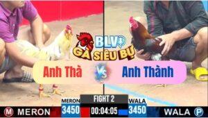 Trận 2 CPC3 20/05/2025 – A Thà Mỹ Hạnh Đối Đầu Anh Thành
