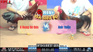 Trận 23 CPC1 22052025 – Anh Hưng Gò Đen Vs Anh ThiệnTrận 23 CPC1 22/05/2025 – Anh Hưng Gò Đen Vs Anh Thiện