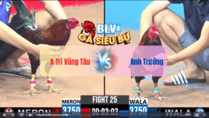 Trận 25 CPC3 21052025 - Anh Trí Vũng Tàu Thất Thủ Trước Anh TrườngTrận 25 CPC3 21/05/2025 - Anh Trí Vũng Tàu Thất Thủ Trước Anh Trường
