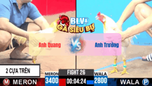 Trận 26 CPC3 21052025 - Anh Quang Cáp Kèo Chế Với Anh TrườngTrận 26 CPC3 21/05/2025 - Anh Quang Cáp Kèo Chế Với Anh Trường