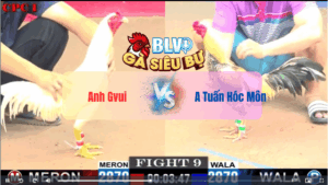 Trận 9 CPC1 22052025 – Anh Gvui Hạ Đẹp Anh Tuấn Hóc MônTrận 9 CPC1 22/05/2025 – Anh Gvui Hạ Đẹp Anh Tuấn Hóc Môn