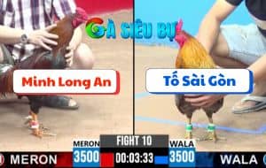 Trận 10 CPC3 22/06/2025 - Anh Minh Long An Vs Anh Tố Sài Gòn