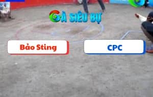 Trận 12 Bồ Dinh Bà 21/06/2025 - Bảo Sting Thắng Trong Thế Thua