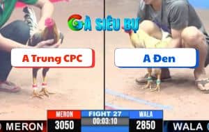Trận 27 CPC3 11/6/2025 - Anh Trung Campuchia Vs anh Đen