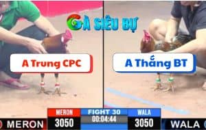 Trận 30 CPC3 11/6/2025 - Anh Trung Campuchia Vs Anh Thắng Bến Tre