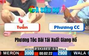 Trận 35 CPC3 29/6/2025 - Anh Phương Tóc Dài Quá Hừng Tại C3