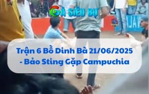 Trận 6 Bồ Dinh Bà 21/06/2025 - Bảo Sting Gặp Campuchia