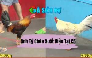 Trận 7 CPC5 27/06/2025 - Anh Tý Chùa Và Đăng Black Đã Có Mặt Tại C5