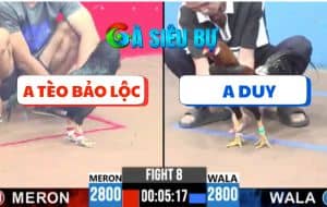 Trận 8 CPC3 11/6/2025 - Anh Tèo Bảo Lộc Vs Anh Duy