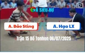 Trận 15 Bồ Tonhon 06/07/2025 - Anh Bảo Sting Nài Gà Quá Đỉnh
