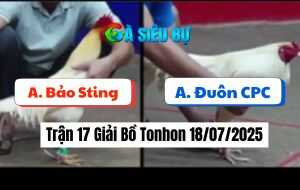 Trận 17 Giải Bồ Tonhon 18/07/2025 - Bảo Sting Giành 3 Điểm Đầu Tiên