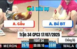 Trận 34 CPC3 17/07/2025 - Gà Anh Bé Bến Tre Chồng Độ Ăn Đẳng Cấp