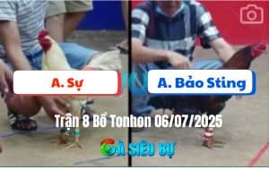 Trận 8 Bồ Tonhon 06/07/2025 - Bảo Sting Thắng Trận Thứ 3 Liên Tiếp