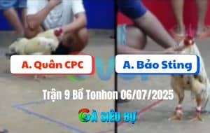 Trận 9 Bồ Tonhon 06/07/2025 - Bảo Sting Bị Chấm Dứt Chuỗi Thắng Thứ 3